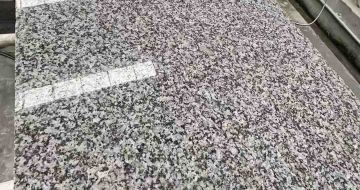 四川 芙蓉白光面