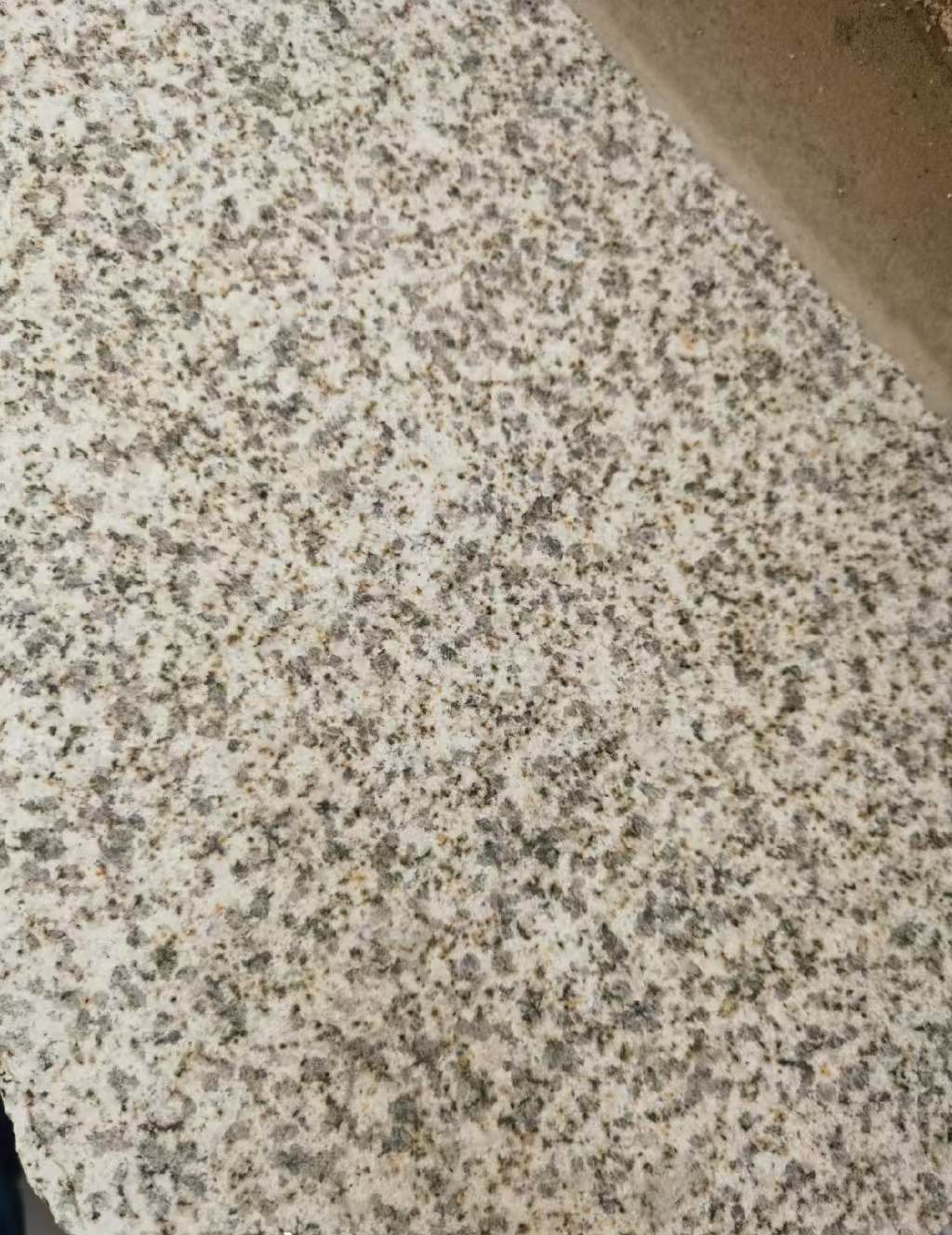 四川 黄金麻中黄光面