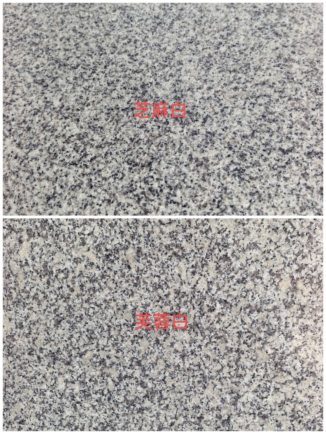 四川 芝麻白和芙蓉白的区别