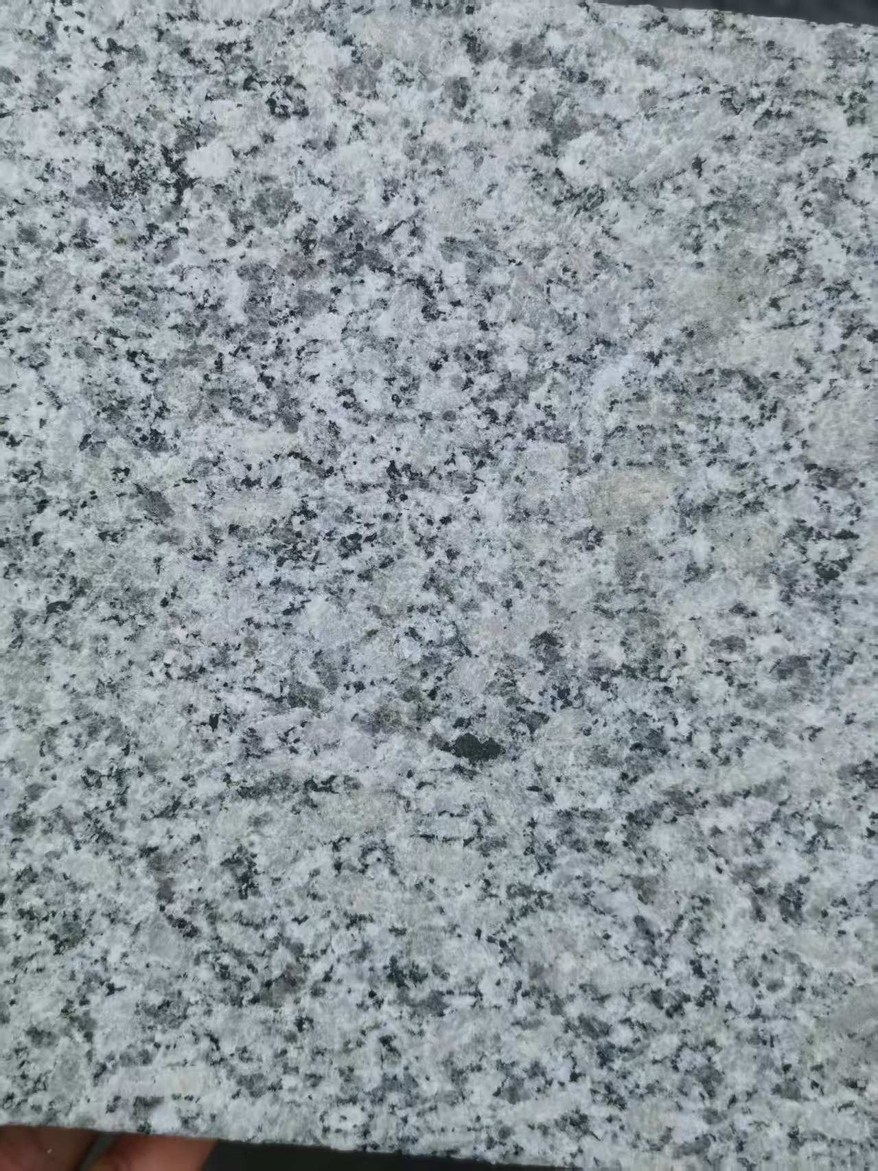 四川 芙蓉白火烧面